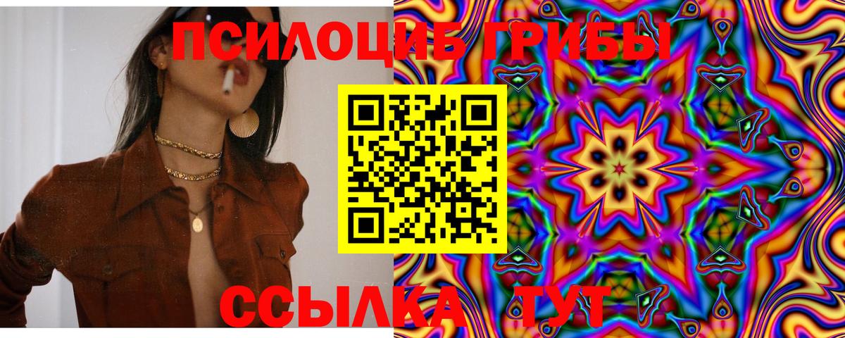Галлюциногенные грибы Cubensis  Вход с VPN  Похвистнево  Псилоцибиновые грибы Cubensis 