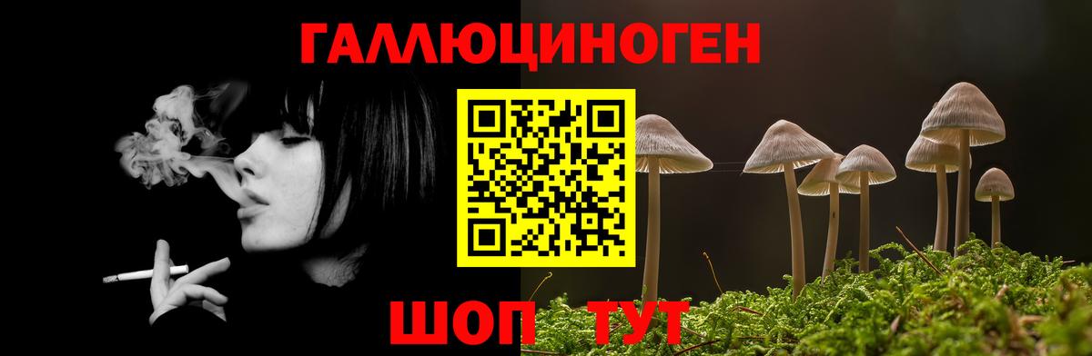 Галлюциногенные грибы мицелий Похвистнево